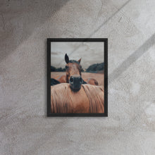 "Resting Horse" Wooden Framed Canvas