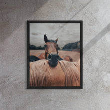 "Resting Horse" Wooden Framed Canvas