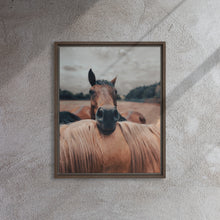 "Resting Horse" Wooden Framed Canvas