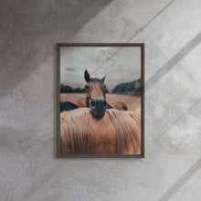 "Resting Horse" Wooden Framed Canvas