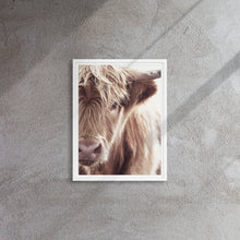 "Highland Cow" Wooden Framed Canvas