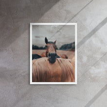 "Resting Horse" Wooden Framed Canvas