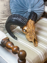 Hand Carved Ram Skull