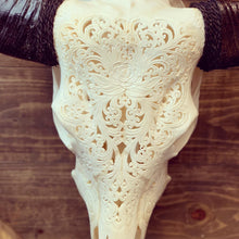 Hand Carved Cow Skulls