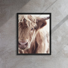 "Highland Cow" Wooden Framed Canvas