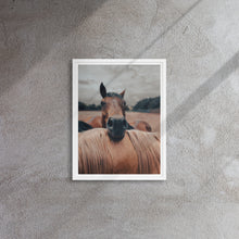 "Resting Horse" Wooden Framed Canvas